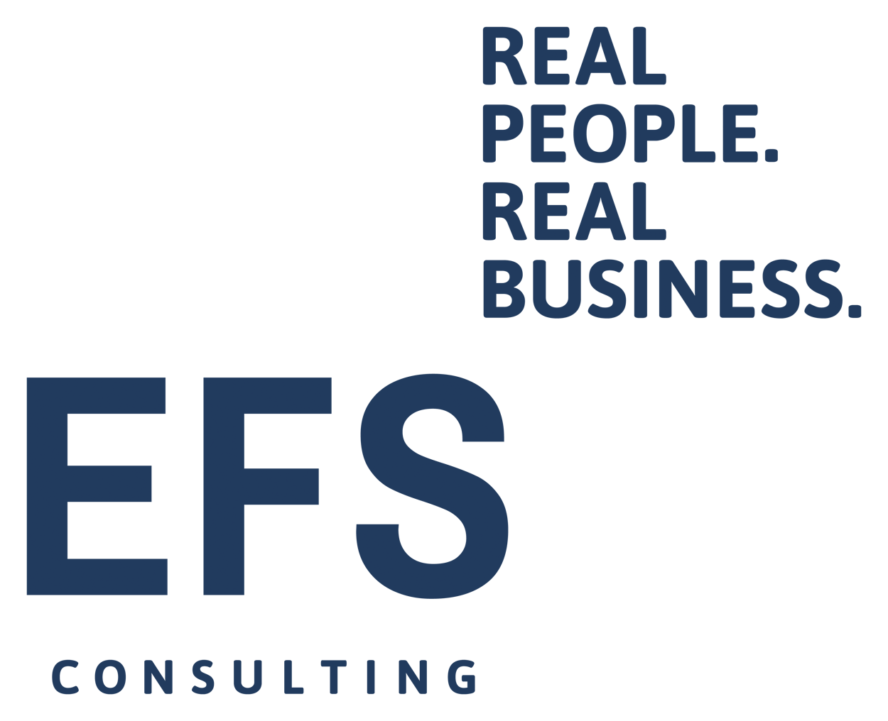 EFS Consulting